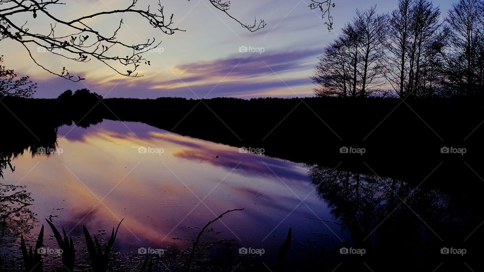 Twilight over the wetlands.