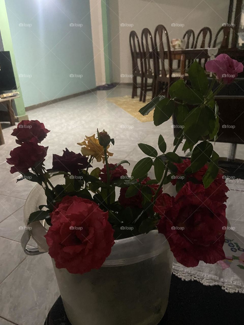 Roses