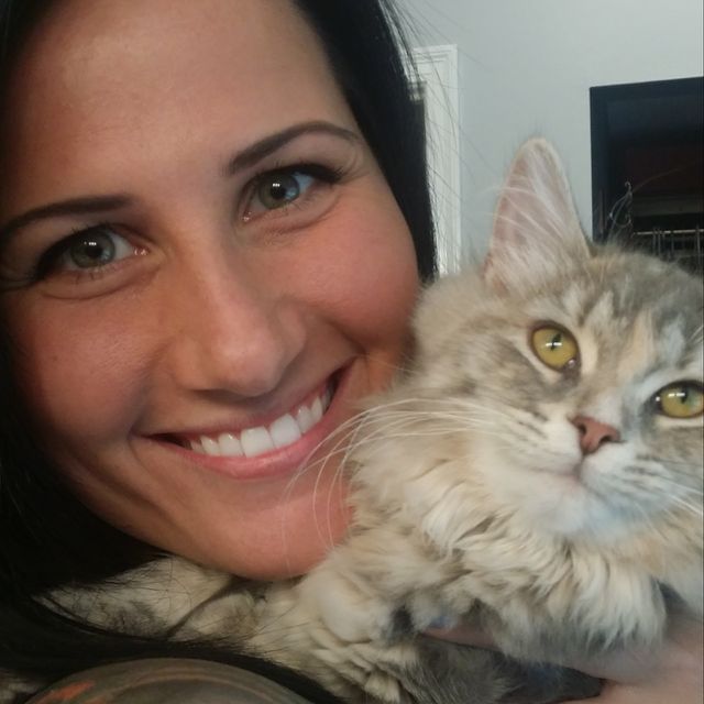 kitty love