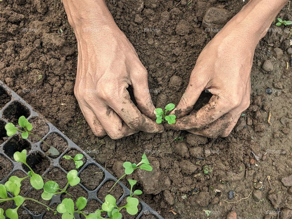 Hans holding the plant seeds.Spring, its a good time to plant the vegetable seeds