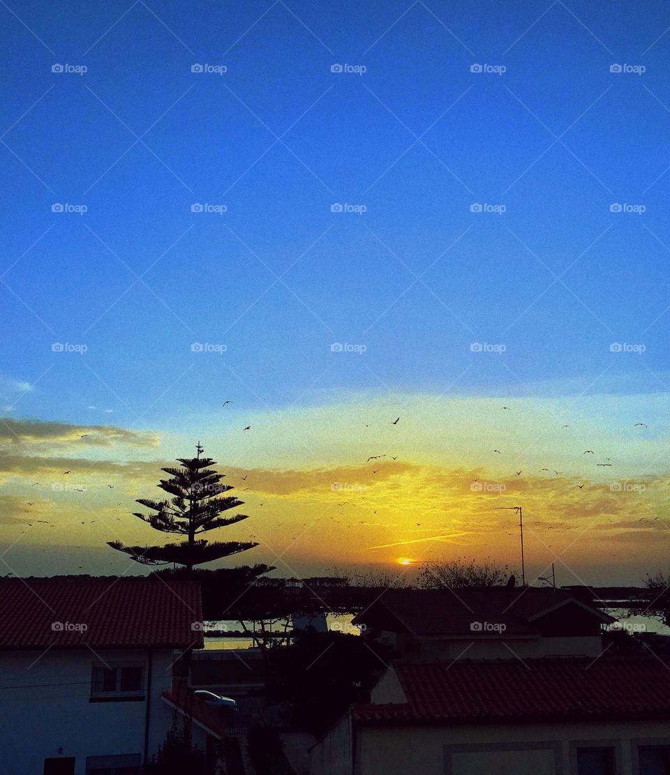 Árvore e animais soltos 🌃