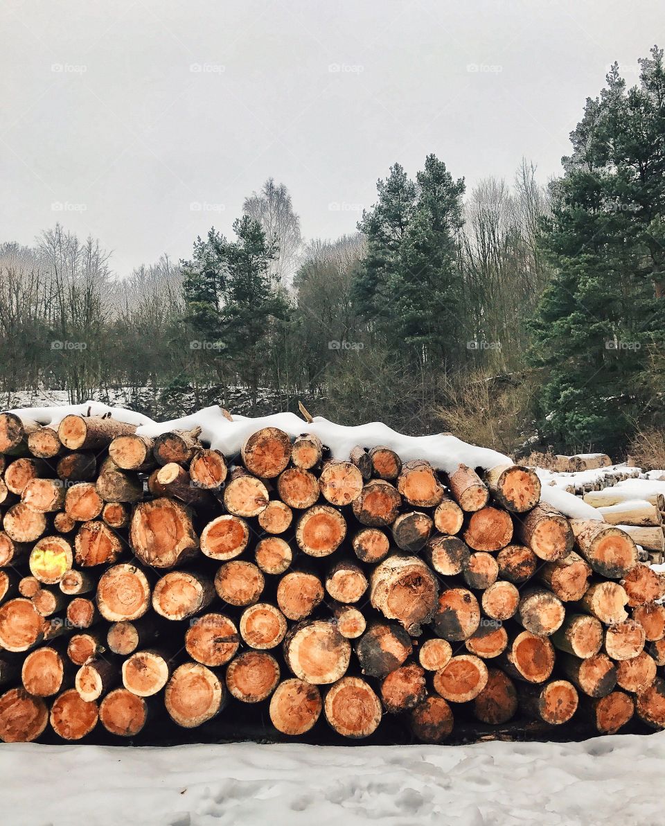 Stack of log snow covered on field