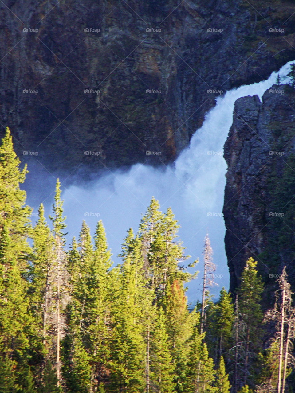 Scenic view of trees near waterfall
