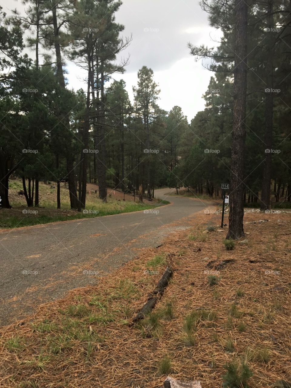 A dirt road, weaving through the mountain town of Ruidoso, New Mexico.