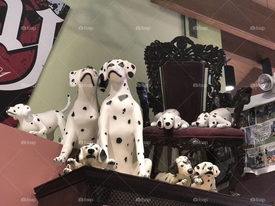 Spotted dogs
