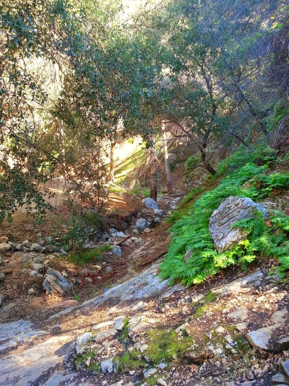 Get Outside. One of our hiking trails