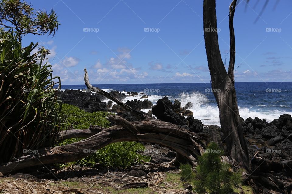 Hawaien coast