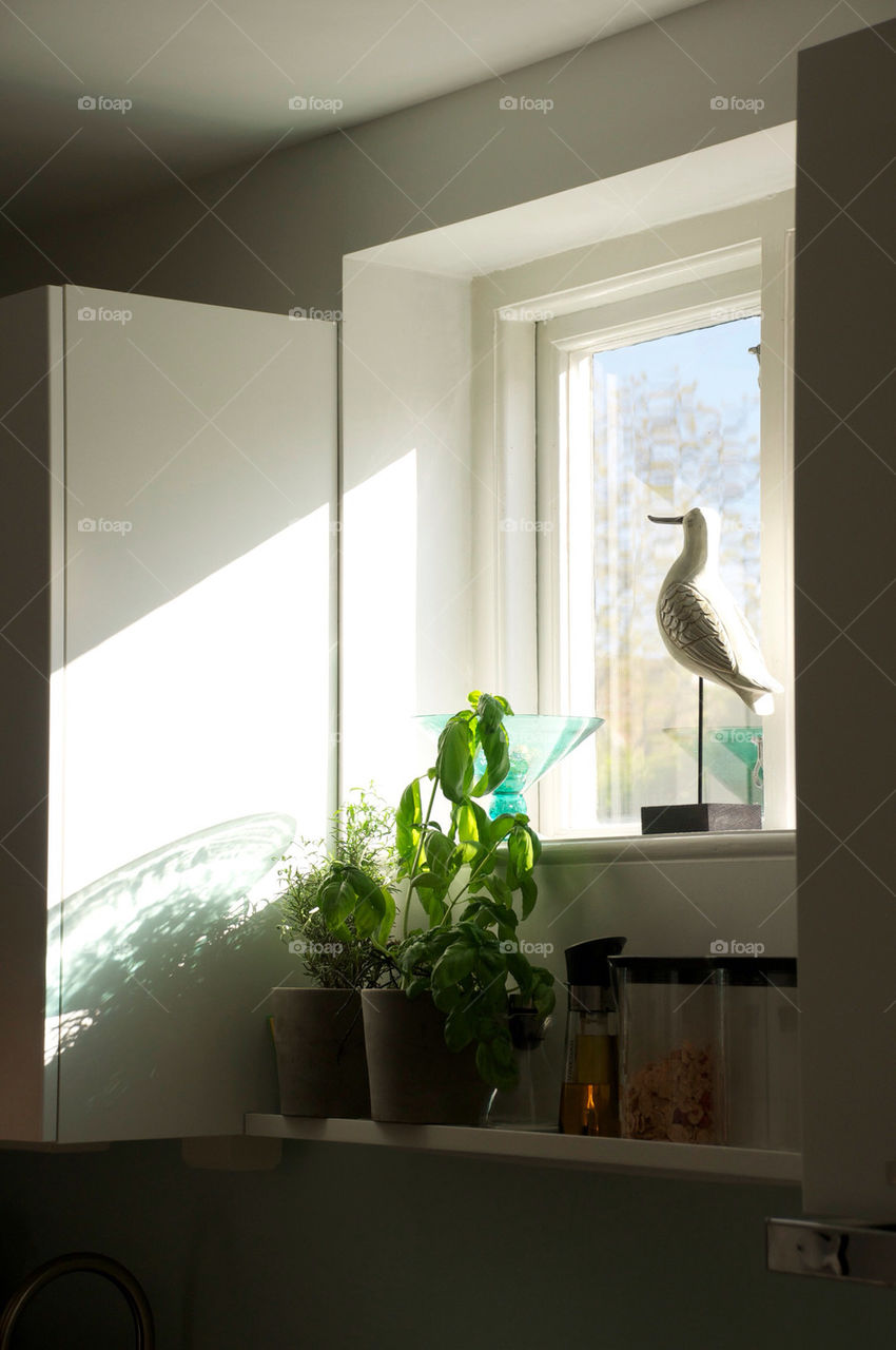kitchen happy sun window by jeppedeluxe