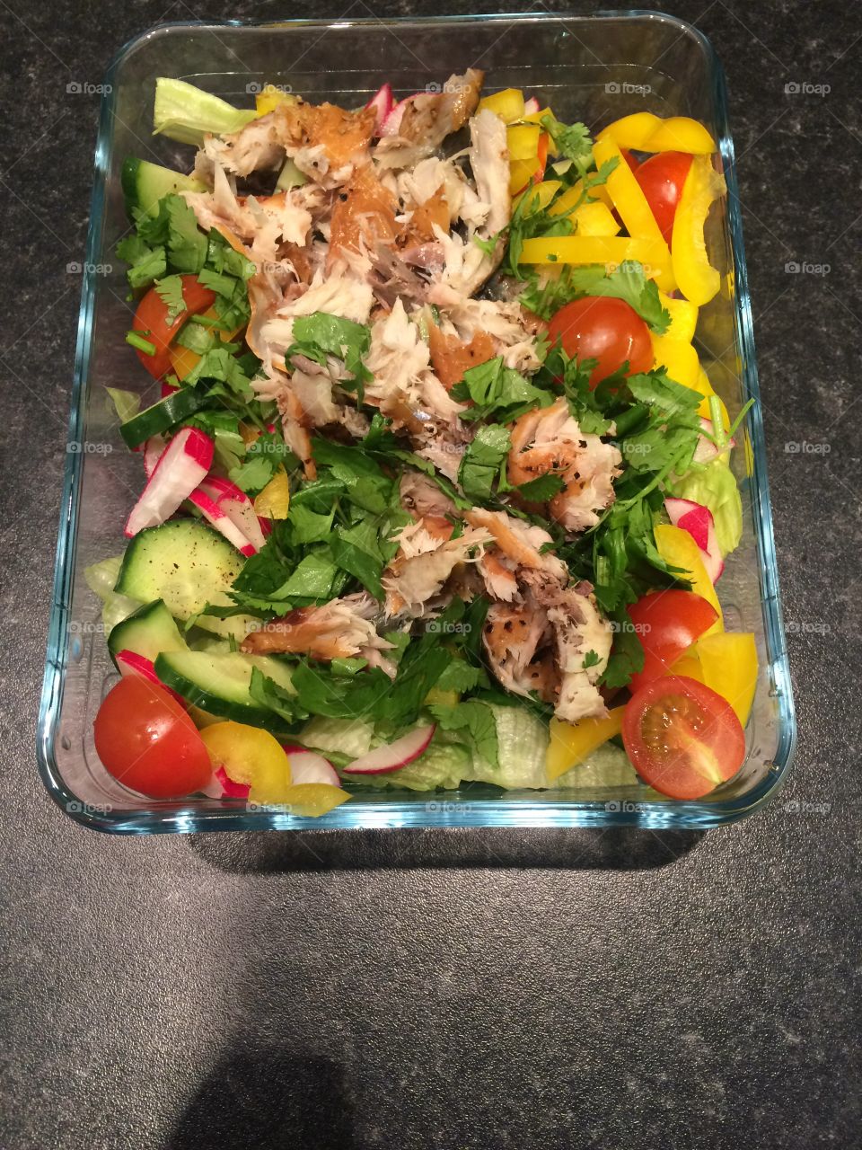 Packed Lunch Box Colourful Healthy Salad