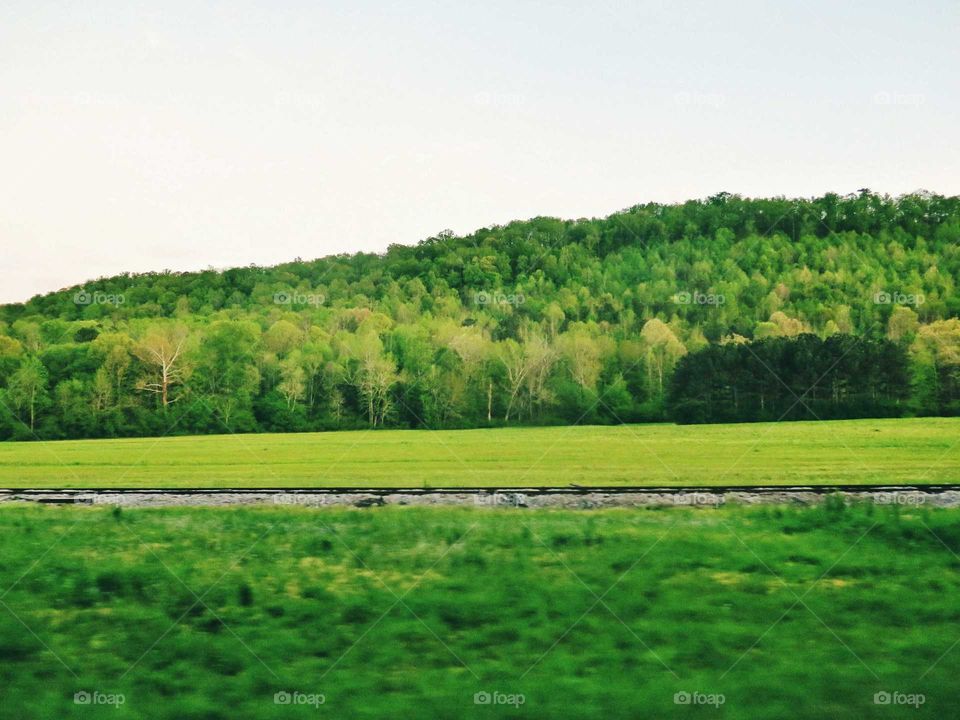 train tracks running alongside a big hay field somewhere in Alabama