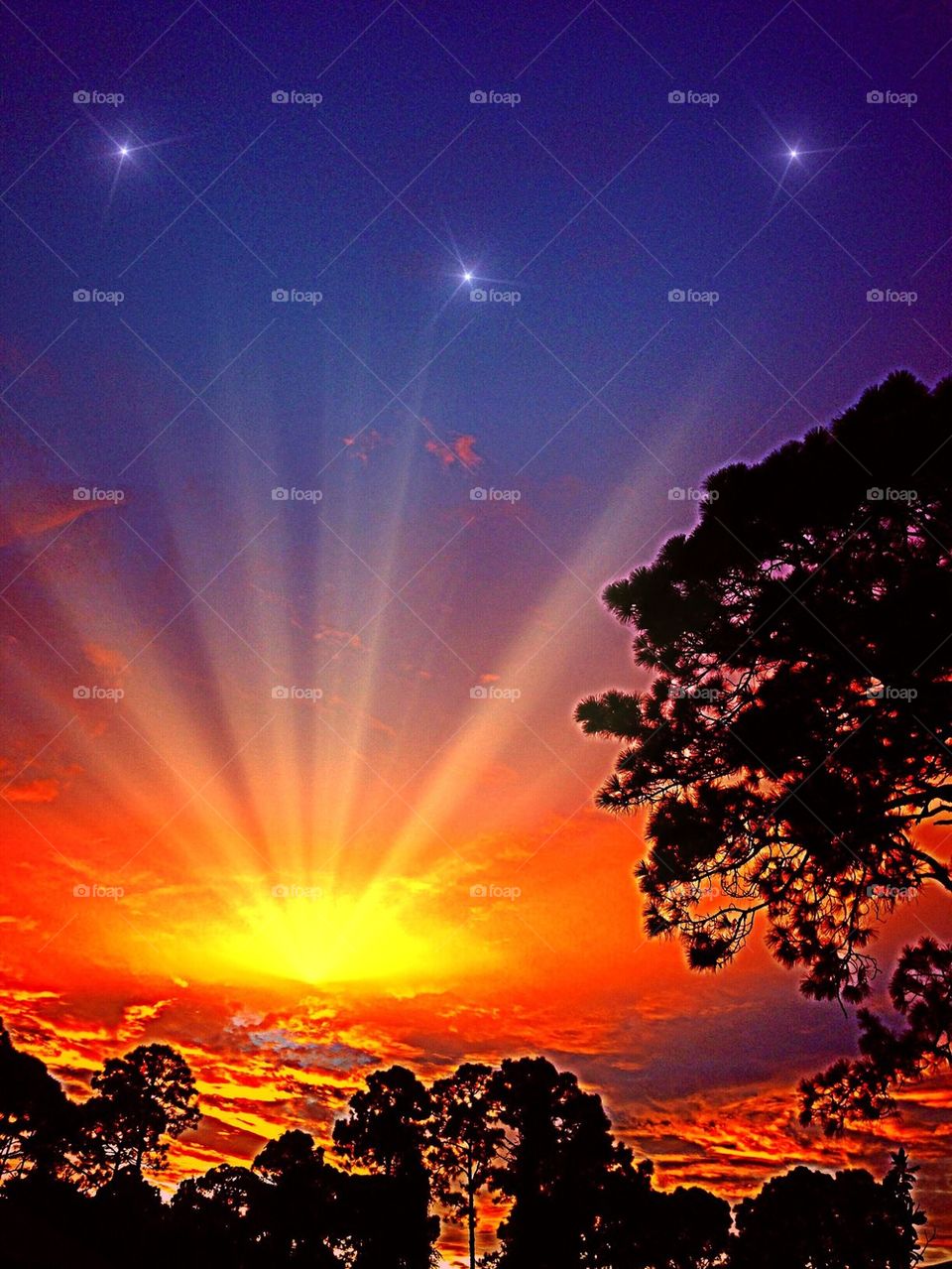 Starlight sunset