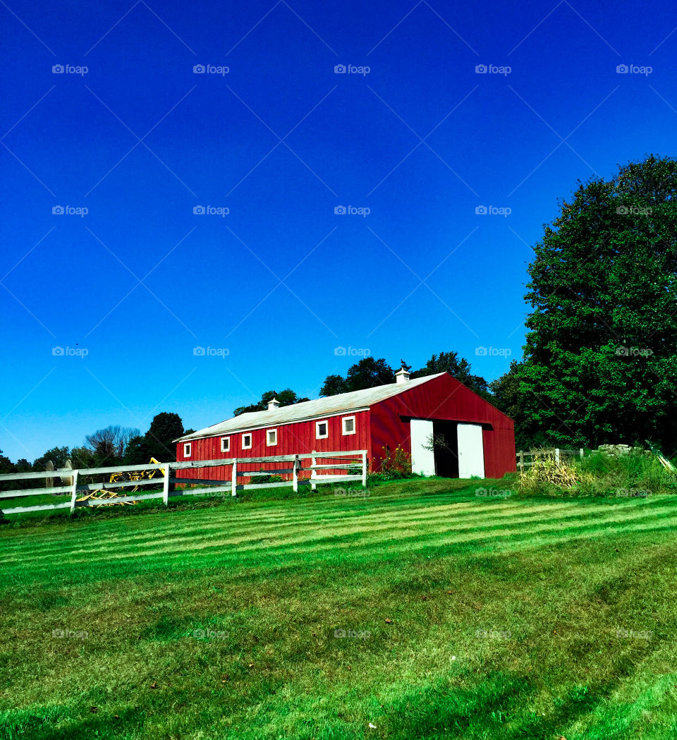 Farmhouse on a grassy field