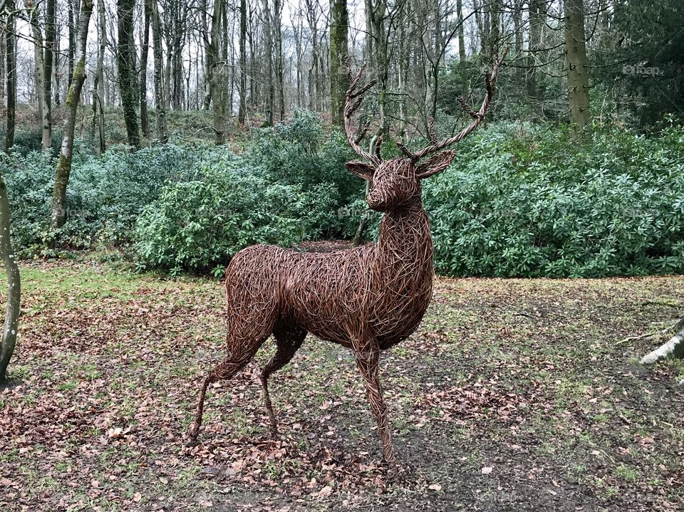 A wood woven deer - art in the forest 