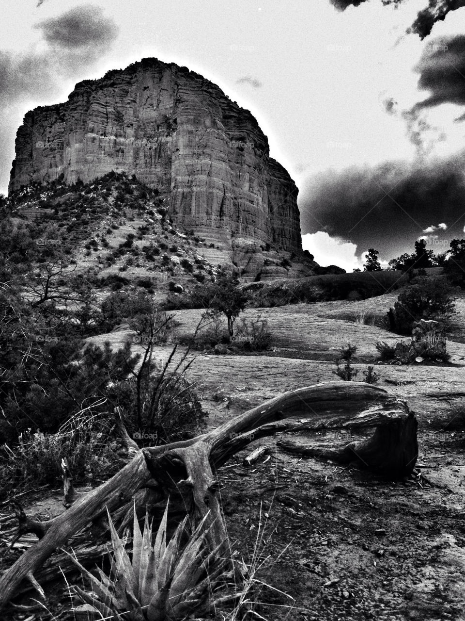 Courthouse Butte Vista