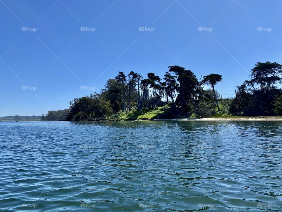 Kayaking through the Elkhorn Slough State Marine Reserve in Moss Landing California 