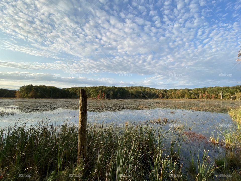 Sky over Connecticut beaver lake