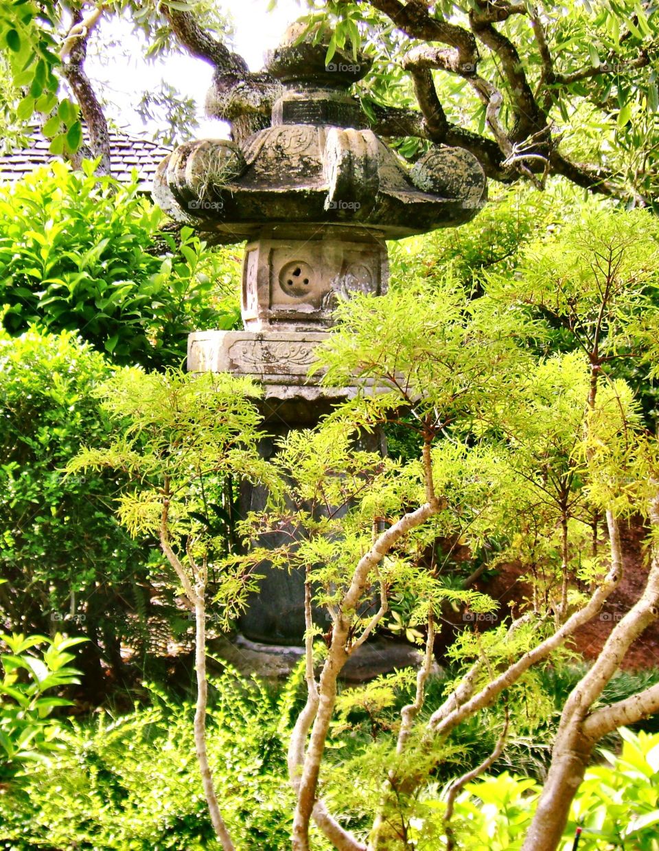 Japanese Botanical Garden . Del Ray beach, Florida 