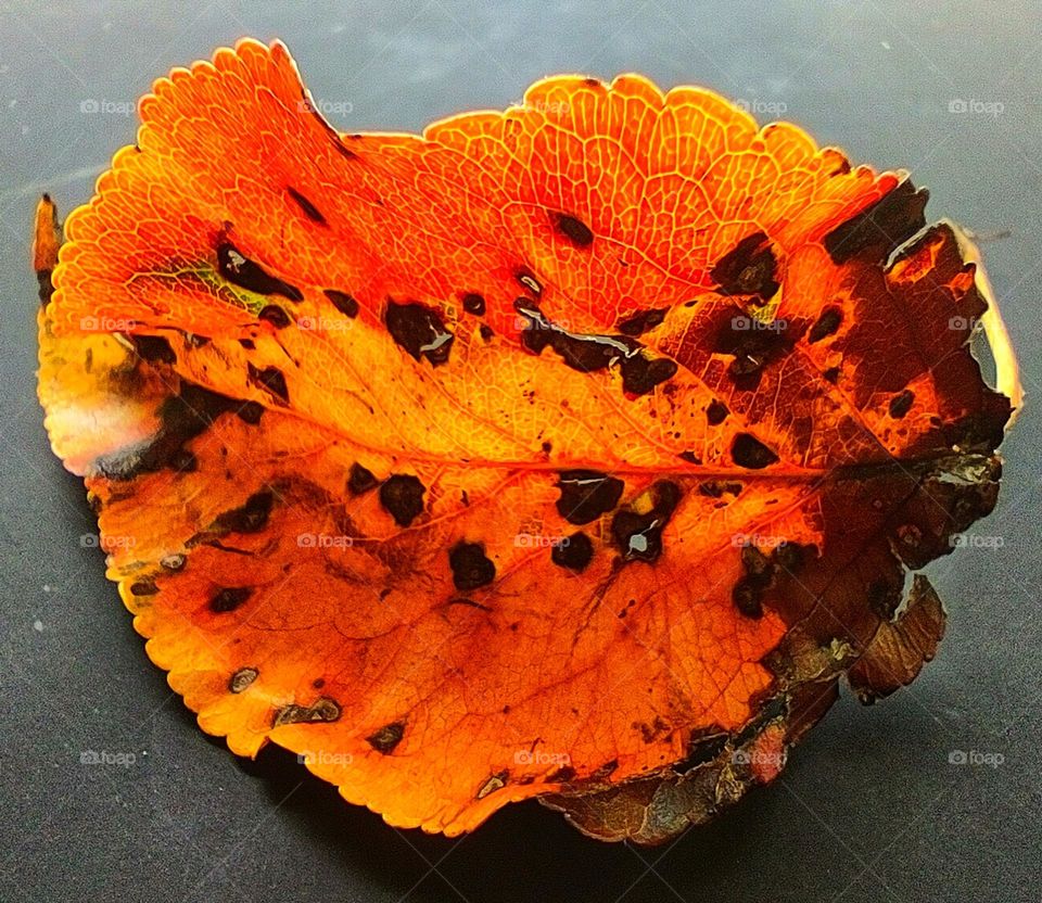 Fall Colors are starting 😊