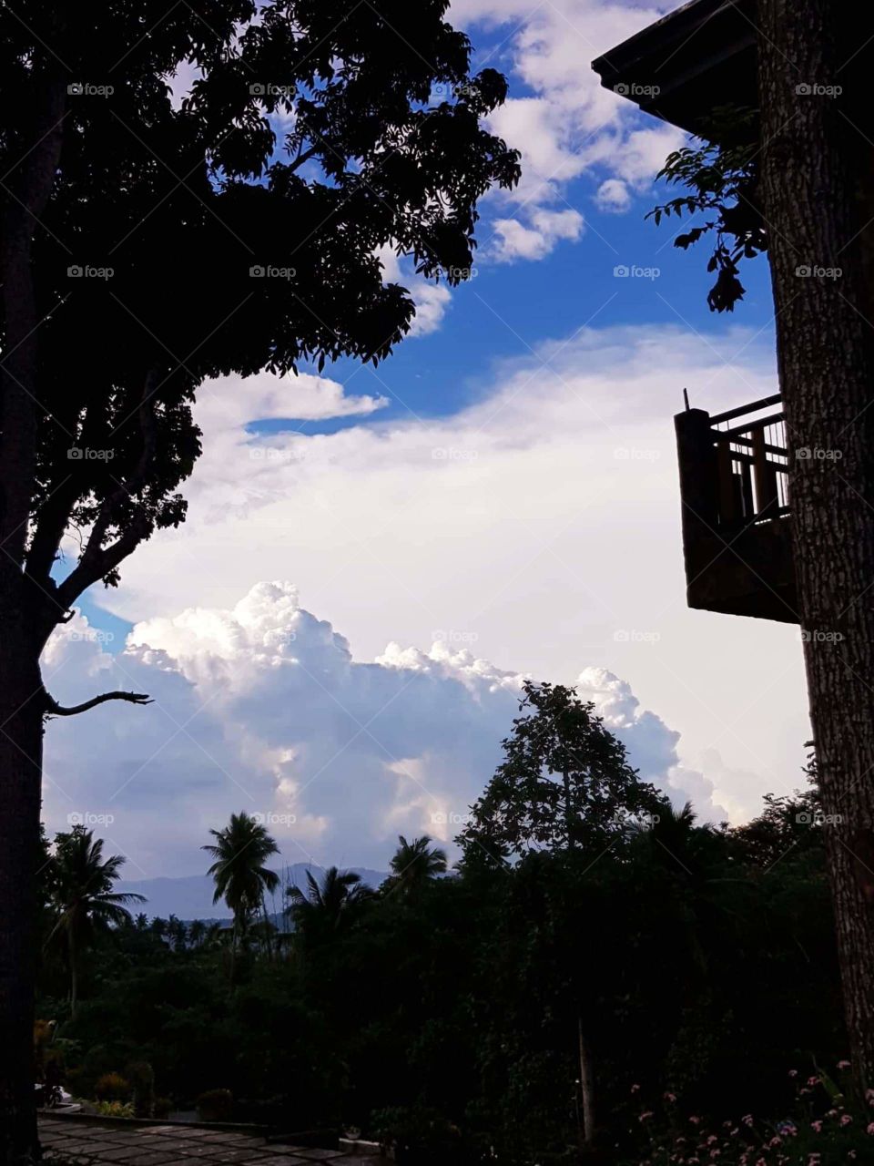 Silhouette of a part of a house, trees, and grass. Beautiful detailed clouds can be seen on the background.