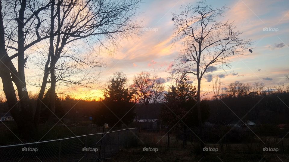 Tree, Dawn, Landscape, Sunset, No Person
