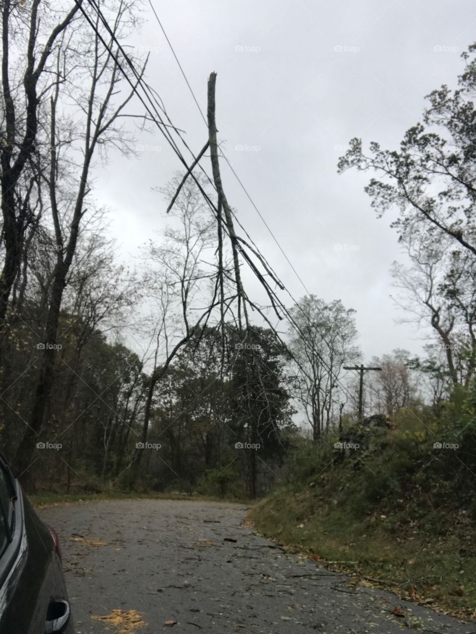 Aftermath of a wind & rain storm leave tree branch in power lines 