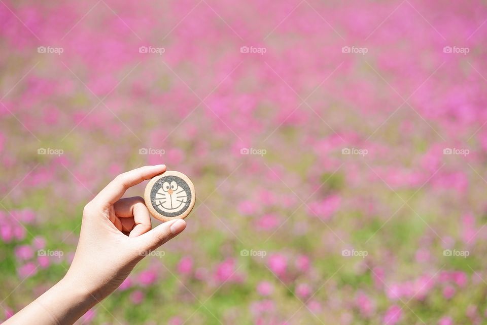 Yamanashi, Japan - May 14, 2018 : A hand holding Doraemon cookie at Fuji Shibazakura festival. Shiba sakura or pink moss is Japanese flowers bloom only once a year around summer time.