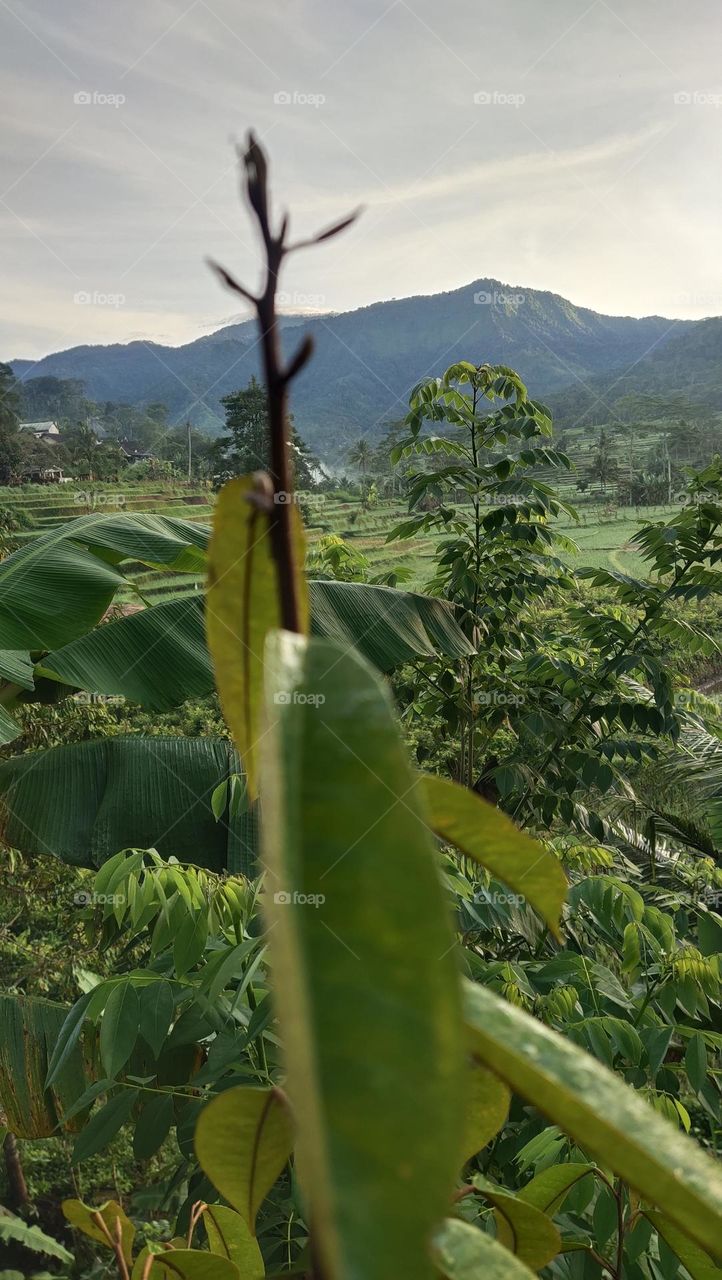pegunungan pagi hari