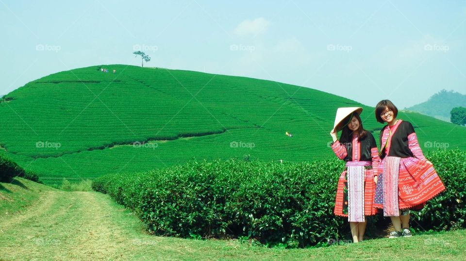 In spiritual terms, the color green implies beginnings, new growth, vibrant health, and other ideas connected with life, rebirth, and renewal. I like green.