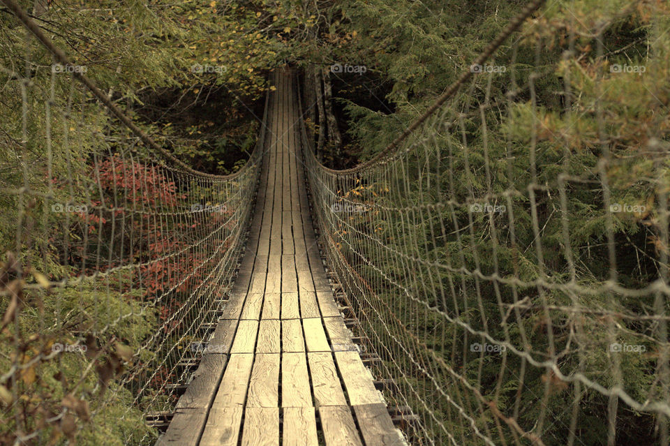 A bridge crossing a large river in the autumn at Fall Creek Falls, TN