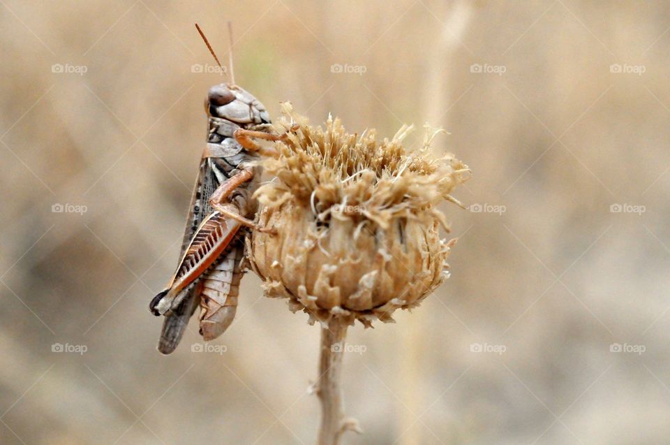 Take your time and rest in the summer 