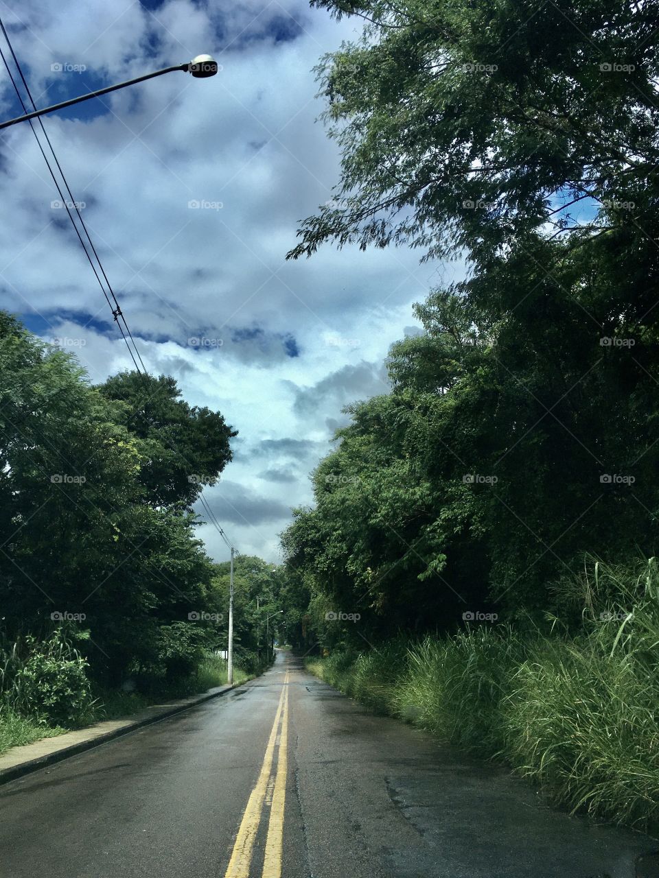 Ô saudade de você, Serra do Japi. Como é bom te rever.
Com chuva ou com sol (ou com ambos, como agora), mas sempre muito verde!