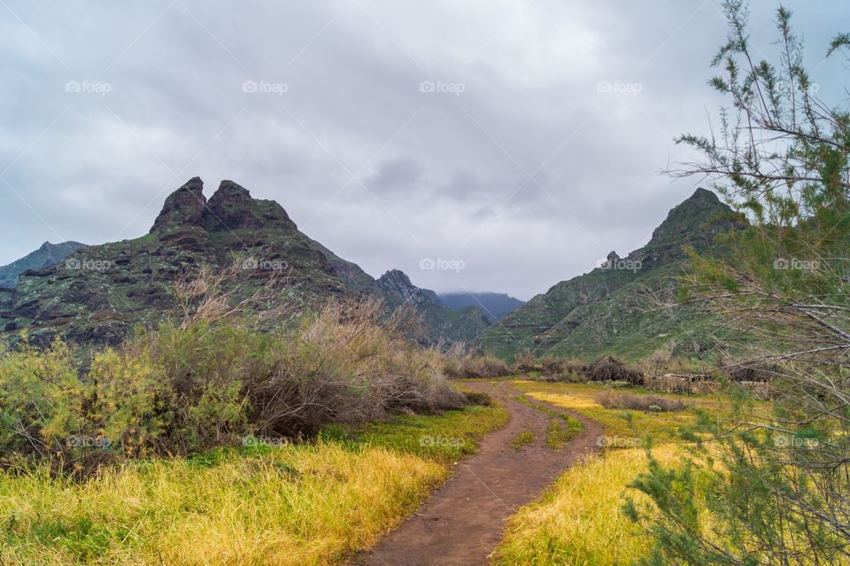 Scenic view at punta hidalgo, tenerife