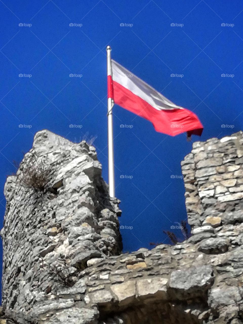 Zamek Ogrodzieniec flaga