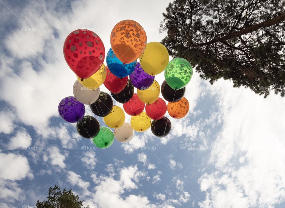 Colorful balloons in the blue sky background 