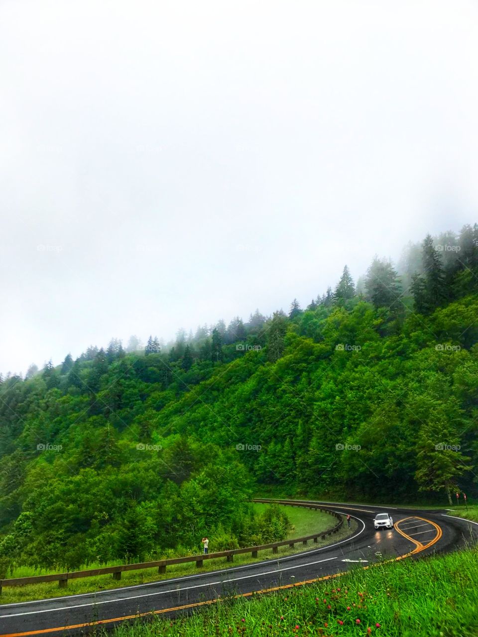 Great Smoky Mountains in North Carolina
