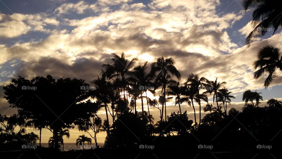 Sunset. Hawaii
