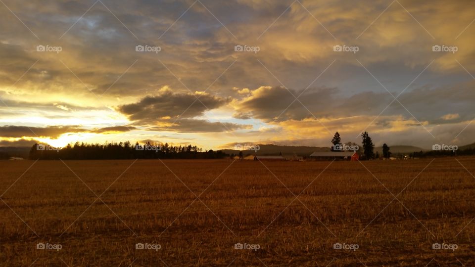 Sunset, No Person, Landscape, Dawn, Agriculture