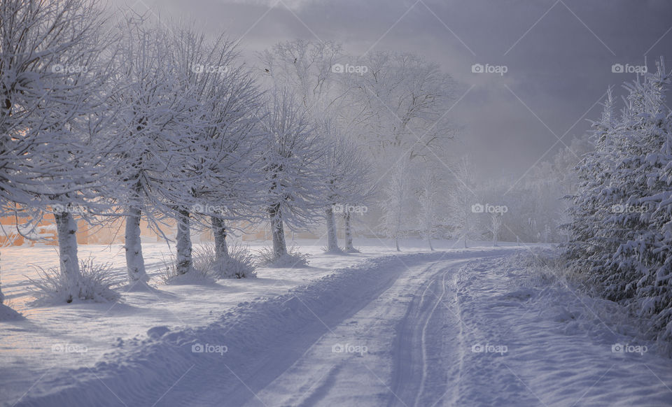 Winter road