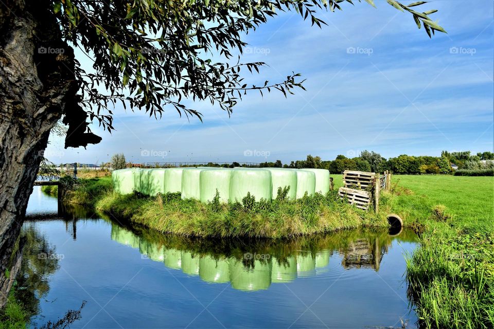 a rural landscape with hay wrapped in green plastic foil reflecting in the windstill water