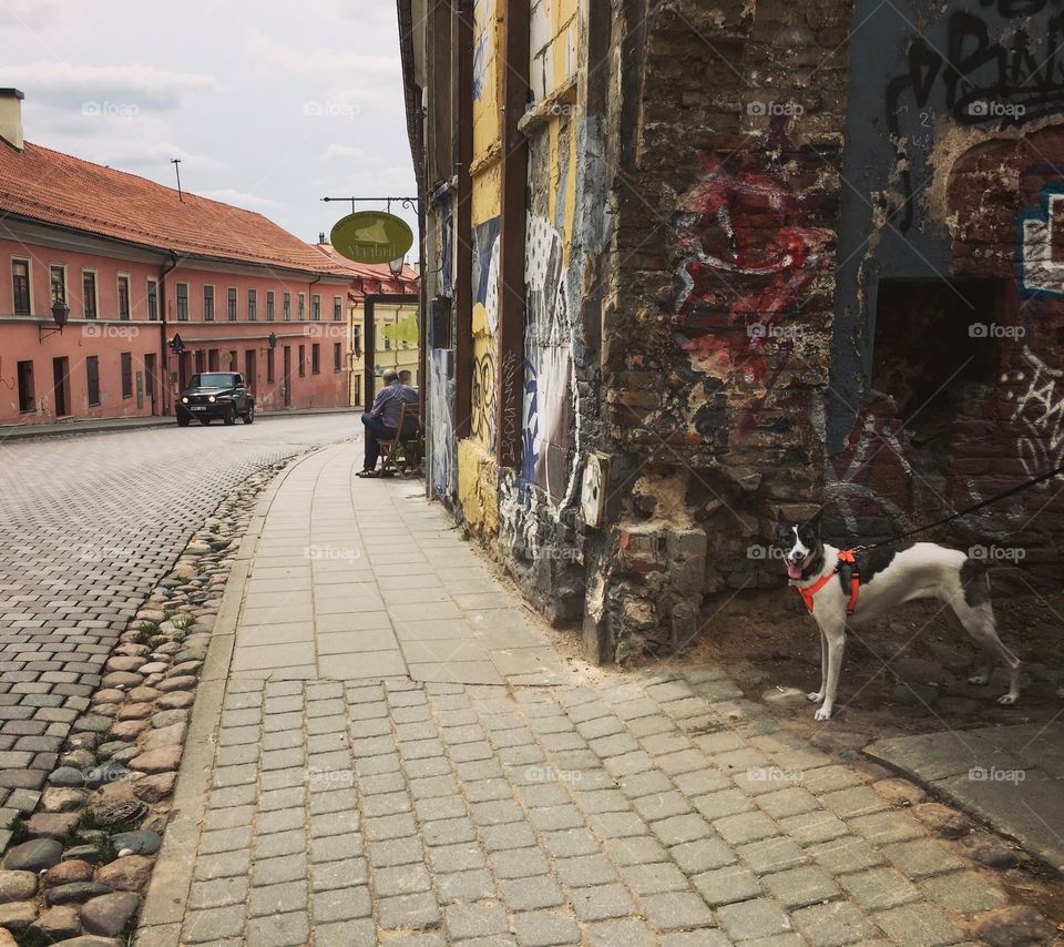 Street, No Person, Town, Road, Pavement