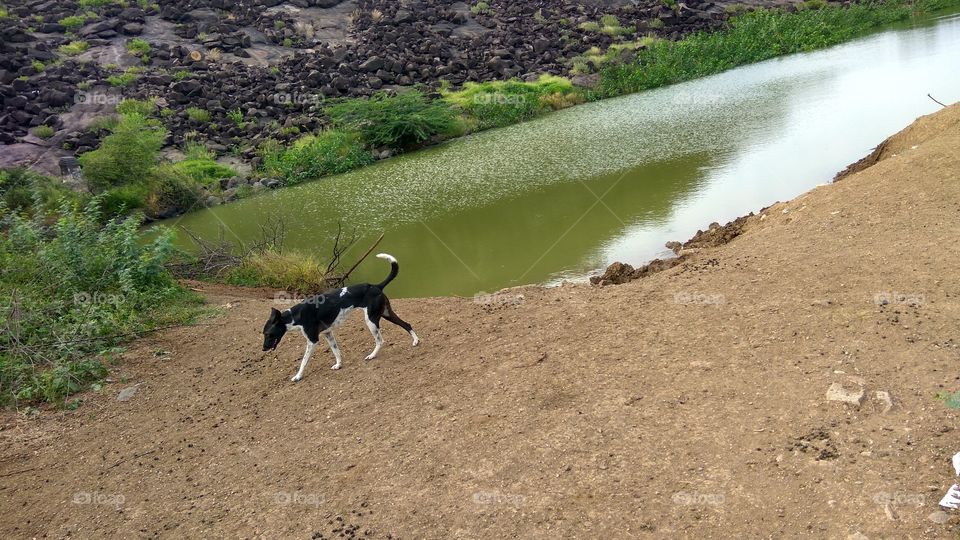 reflection of hill shade in water it's lovely walking dog near River