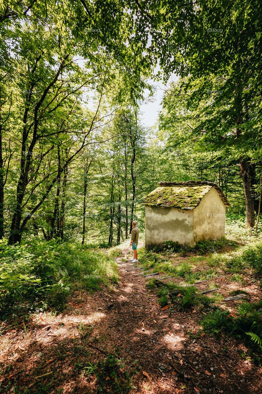 Green: Man in the middle of the woods with a house covered with vegetation