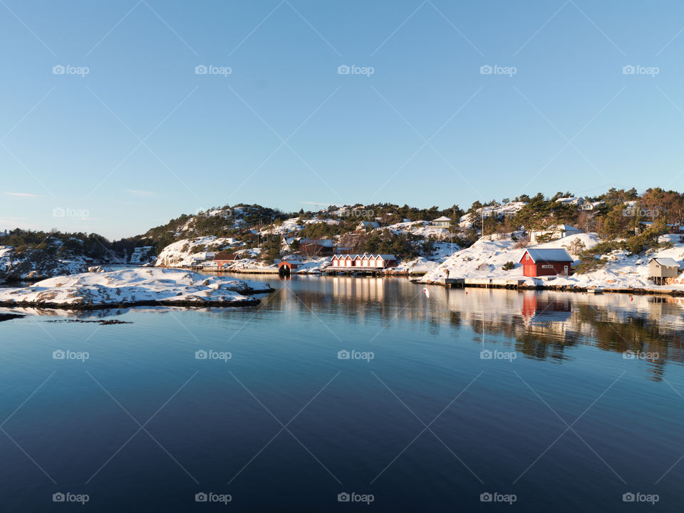 Frozen Shoreline