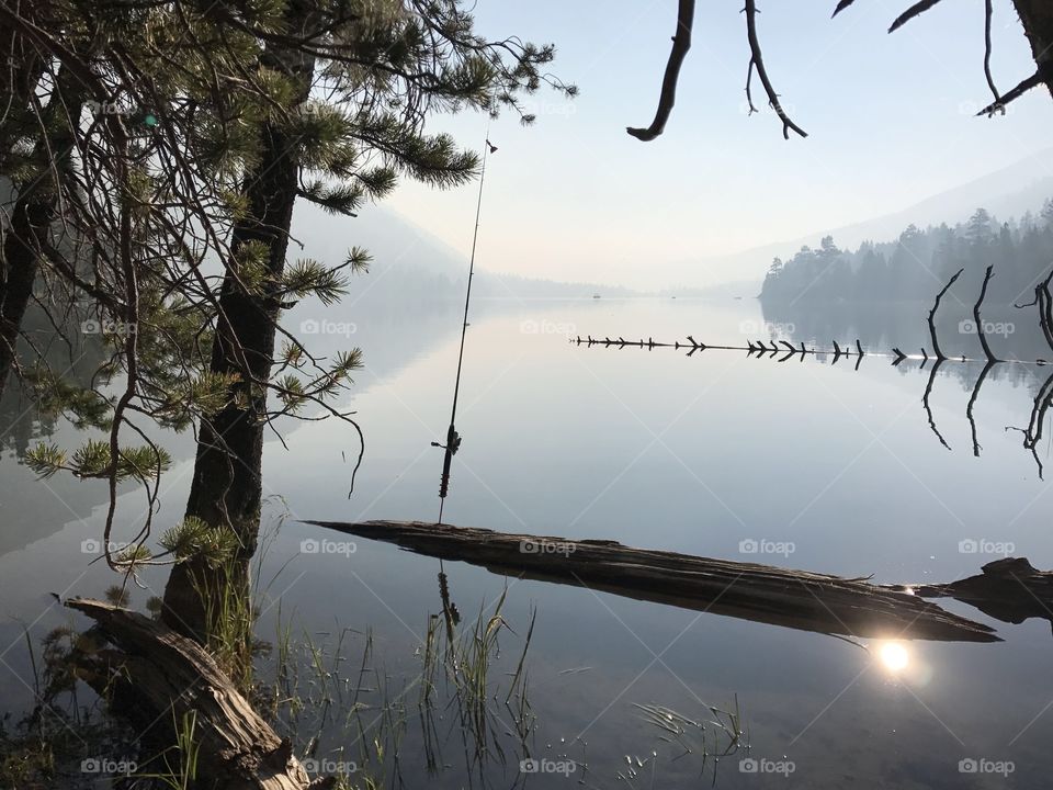 Fishing pole on a lake.
