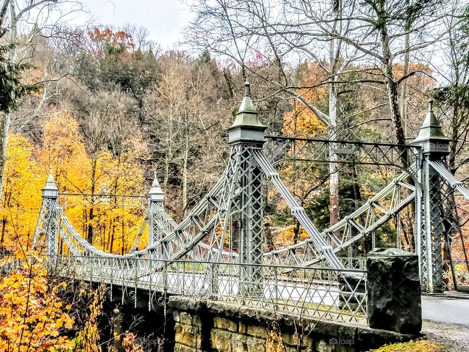 Bridge Facing Yellow Trees