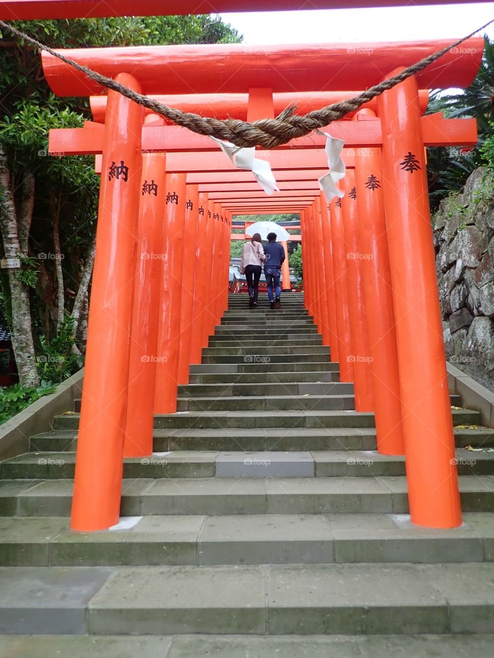 Red Torii gates