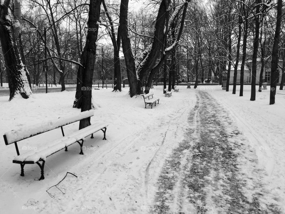 Winter in Poland