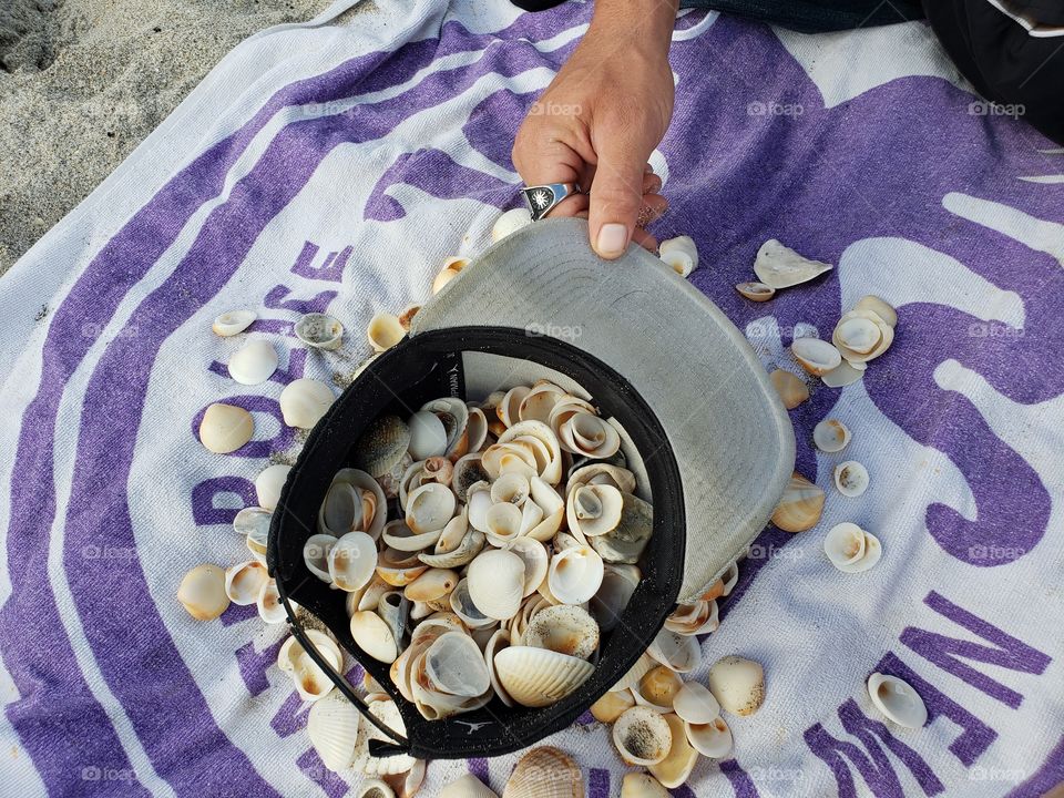 SHELL COLLECTING