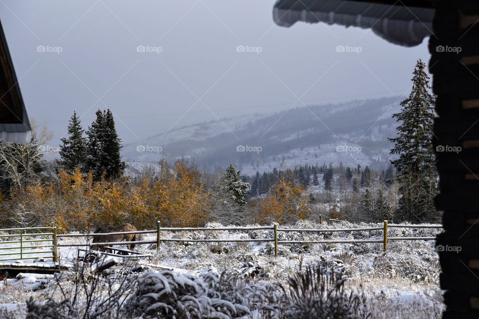 Snowing on the Mountain