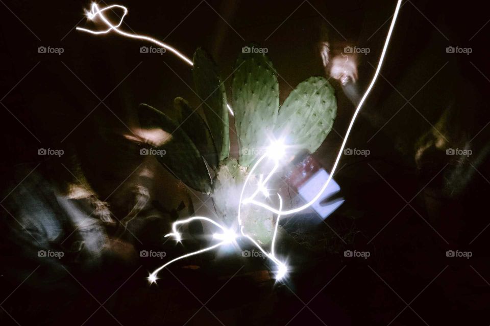 Conceptual shot, with long exposed, of a cactus, using a smartphone flashing. I'm in the shot, as a model, with black mask and beanie.